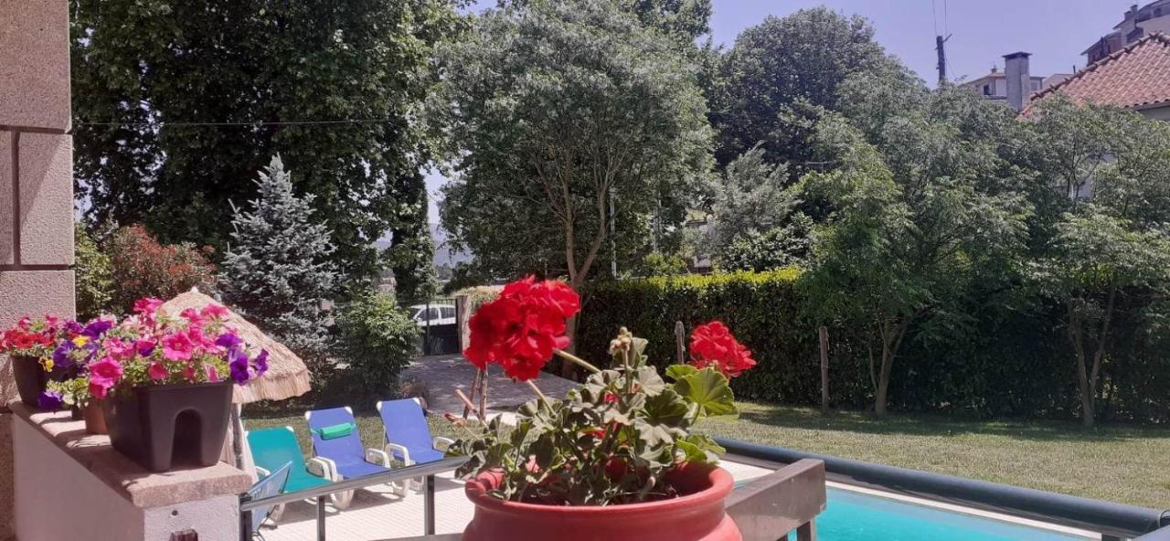 Villa Garden & Pool - Alojamentos سيلوريكو دي باستو المظهر الخارجي الصورة