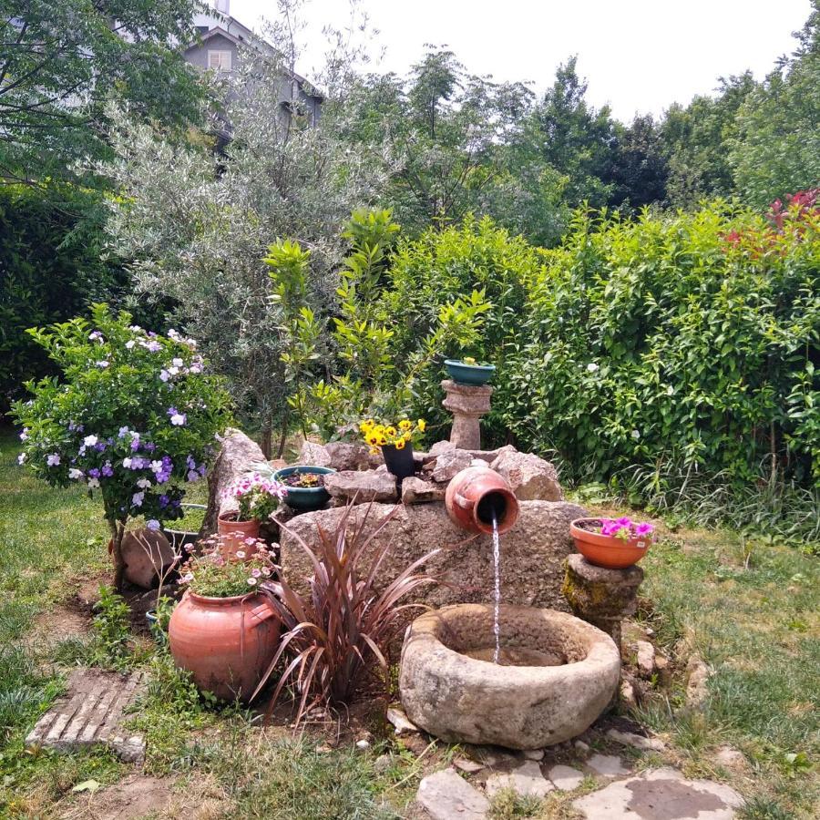 Villa Garden & Pool - Alojamentos سيلوريكو دي باستو المظهر الخارجي الصورة